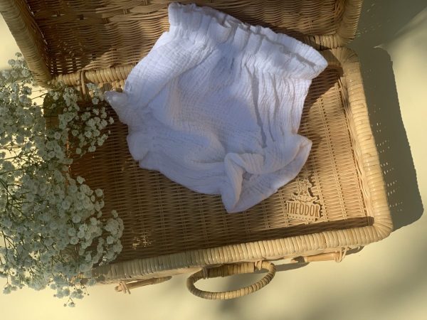 525A1B96 63C5 48F3 BD9B B04321C71D6F