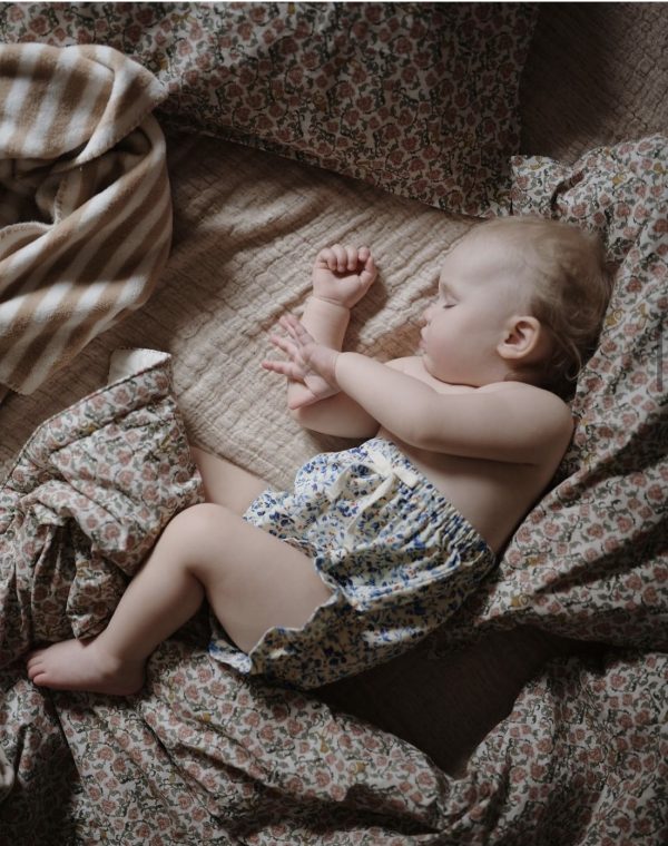 B8E176E3 610E 4395 B11B CE06CEB93092