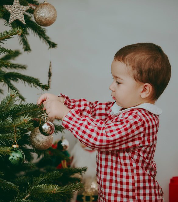 C1B8DC62-745D-408D-9FA4-B6F7CE825147