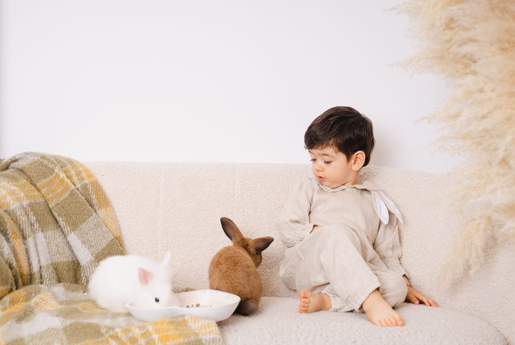 0e03d2e9-edaa-4a5b-bfed-946b3664bd5c